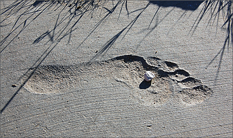 Abstract photography - sidewalk footprint in Tucson, Arizona