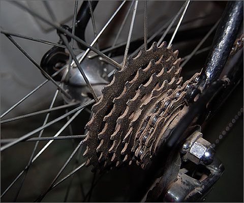 Bicycle Photography - Freewheel closeup