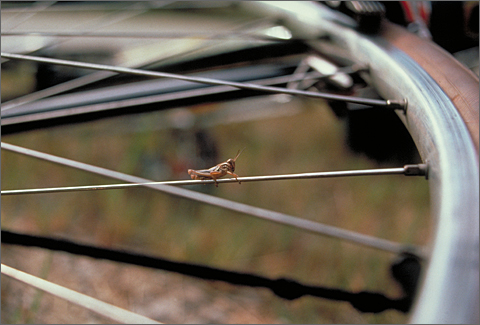 Bicycle photography - Spokes-hopper seen along U.S. 40, eastern Ohio
