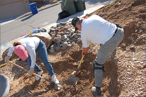 Construction photography - Digging a planting basin