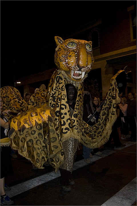 Remembering jaguar Macho B in All Souls Procession 2009 through Downtown Tucson, Arizona