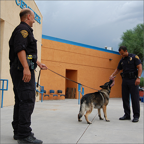 Event photography - K-9 demo at Tucson's 2008 National Night Out Against Crime and Drugs