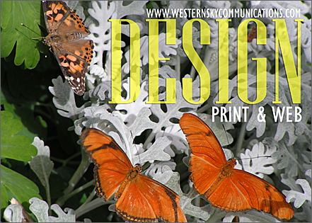 Graphic Design: Butterfly Trio Promotional Postcard