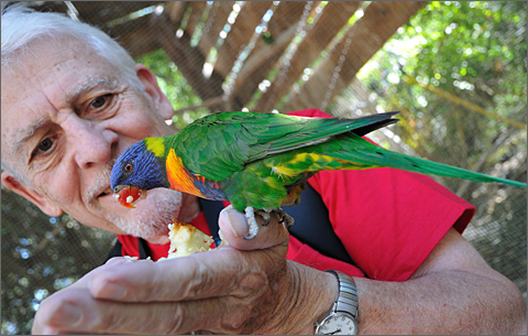 Nature photography - David Crook hand-feeding a Lory Parrot at Wildlife World, Litchfield Park, Arizona