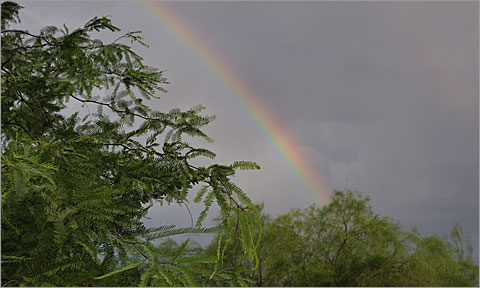 Nature photography - Double rainbow in Tucson, Arizona