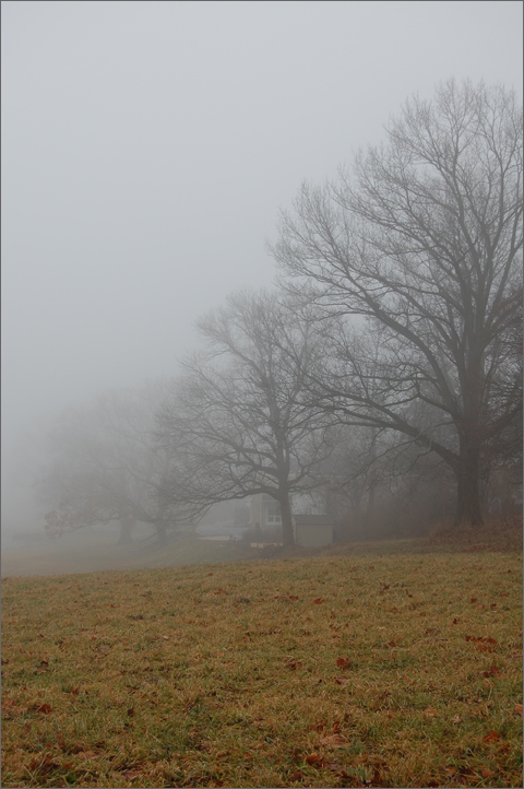 Nature photography - Foggy field, Westtown, Pennsylvania