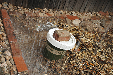 Nature photography - Waterlogged compost bucket in Tucson, Arizona