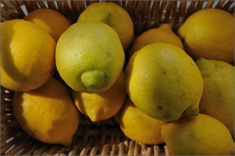 Nature photography - basket of lemons grown in Tucson, Arizona
