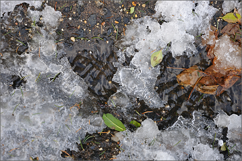 Nature photography - Melting snow in gutter, Westtown, Pennsylvania