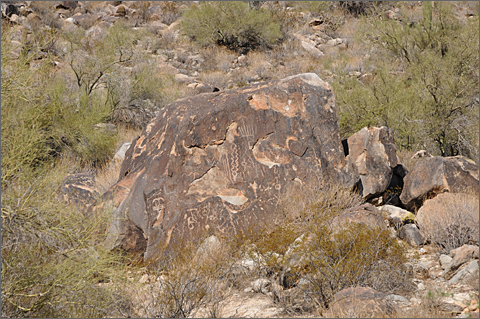 Nature photography - petroglyphs, White Tank Mountain Regional Park, Arizona