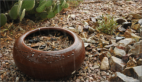 Nature photography - Empty pot during rainstorm in Tucson, Arizona