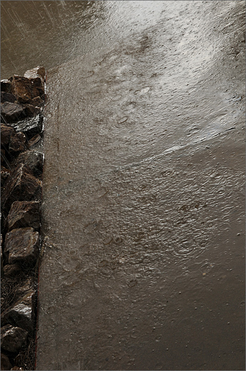 Nature photography - rain on cement walk in Tucson, Arizona