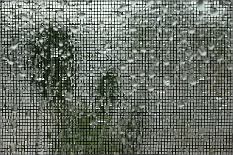 Nature photography - Window screen gets soaked during storm in Tucson, Arizona