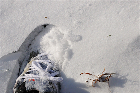 Nature photography - Shoe in snow, Westtown, Pennsylvania