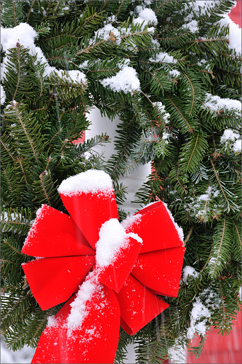 Nature photography - Christmas wreath and snow, Westtown, Pennsylvania