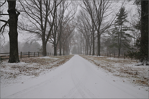 Travel photography - Snow-covered driveway, Westtown, Pennsylvania