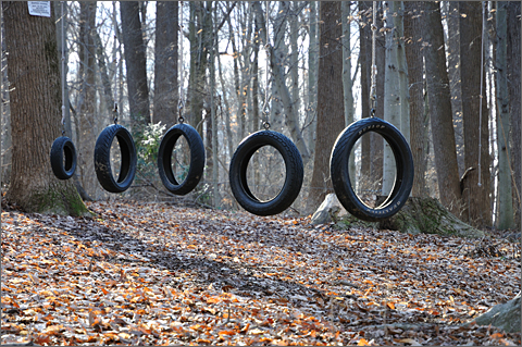Nature photography - tire swing obstacle course in the woods, Westtown, Pennsylvania