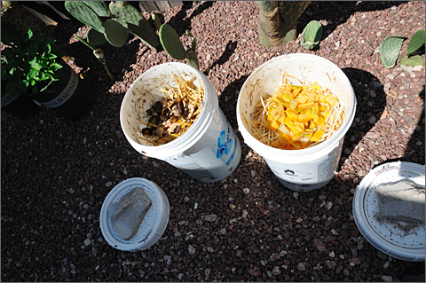 Photo essay - home-made compost bins in Tucson, Arizona