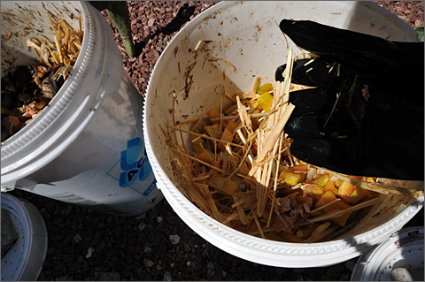 Photo essay - hand-mixing compost in Tucson, Arizona