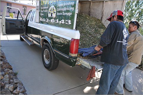 Photo essay - Romeo Tree Service delivery of free yard mulch, Tucson, Arizona
