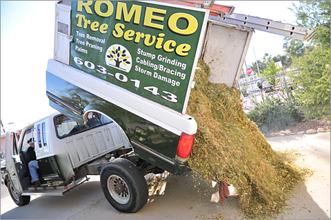 Photo essay - Romeo Tree Service dumping a load of free yard mulch, Tucson, Arizona