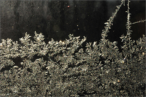 Photo essay - frosty window in Westtown, Pennsylvania