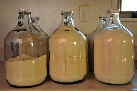 Photo essay - milled mesquite flour bottled and ready for use in Tucson, Arizona