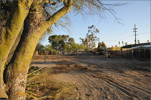 Photo essays - Jefferson Park historic home razed to make way for another mini-dorm, Tucson, Arizona