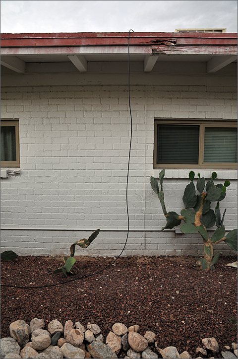 Swamp cooler bleed-off water re-directed with irrigation line in Tucson, Arizona