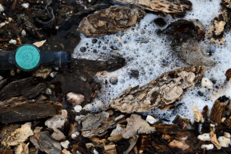 Water Harvesting 101 Podcast: Episode 14 – That Time I Flunked Water Harvesting