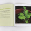 City Nature - Image 4