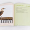 City Nature - Image 3