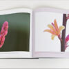 City Nature - Image 2