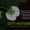 City Nature book cover