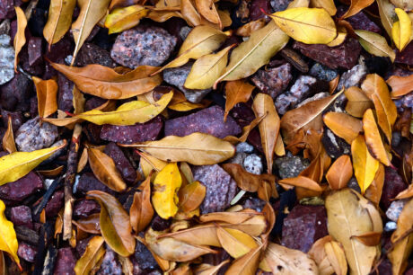 Water Harvesting 101 Podcast: Episode 12 – Earthworks Creation Tip #4 – Mulching