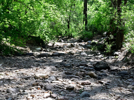 Water Harvesting 101 Podcast: Episode 6 – Passive Water Harvesting Features