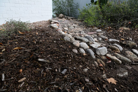 Water Harvesting 101 Podcast: Episode 15 – Getting Ready for the Summer Monsoon Season
