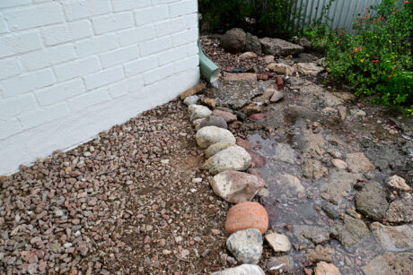 Water Harvesting 101 Podcast: Episode 47 – Author Interview with Michael Albanese