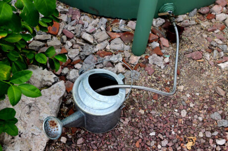 Water Harvesting 101 Podcast: Episode 4 – Passive vs. Active