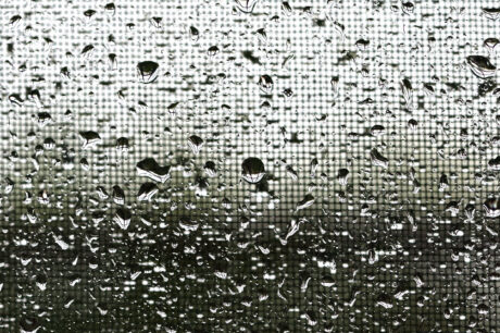 Water Harvesting 101 Podcast: Episode 48 – Let’s Talk About the Weather!