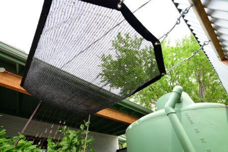 Water Harvesting 101 Podcast: Episode 67 – A Shady Topic