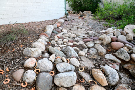 Water Harvesting 101 Podcast: Episode 74 – Rainwater Harvesting Basics, Part 1