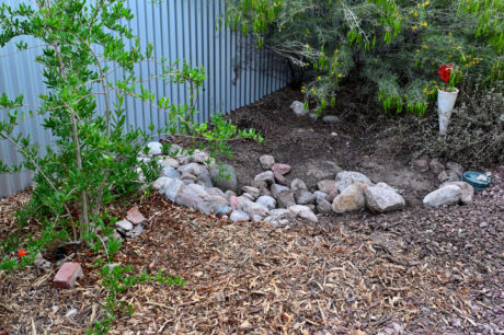 Water Harvesting 101 Podcast: Episode 51 – The Mulch Episode