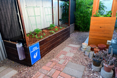 Water Harvesting 101 Podcast: Episode 63 – Garden Gambler Update