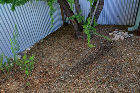 Water Harvesting 101 Podcast: Episode 65 – Landscape Adjustments