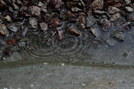 Water Harvesting 101 Podcast: Episode 55 – The Rain Store